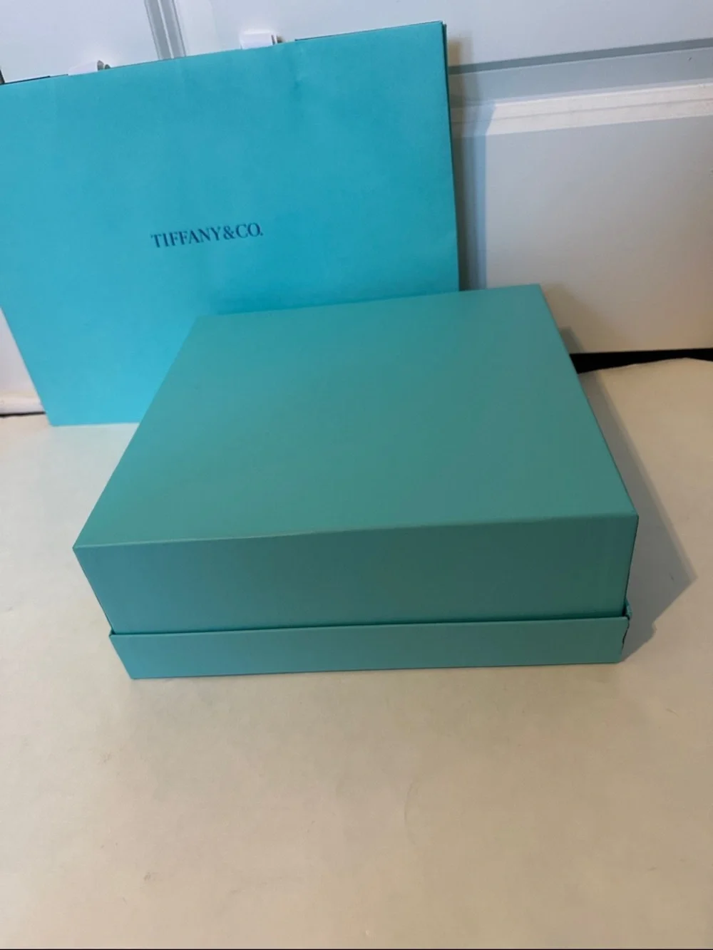 Large Tiffany & Co. Blue Gift Box and Shopping Bag
